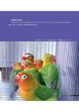 how to use camera(some basic knowledge and skills)