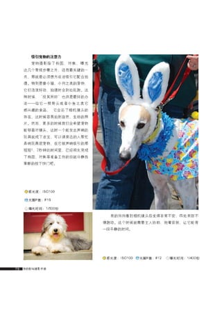 how to use camera(some basic knowledge and skills)