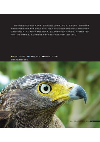 how to use camera(some basic knowledge and skills)