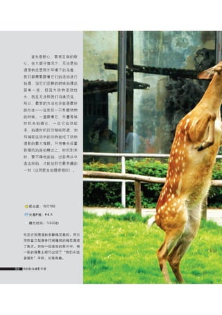 how to use camera(some basic knowledge and skills)