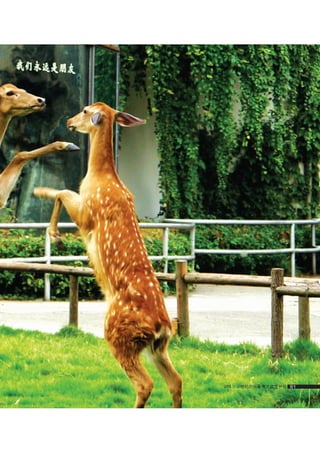 how to use camera(some basic knowledge and skills)