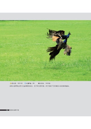 how to use camera(some basic knowledge and skills)