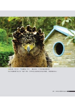 how to use camera(some basic knowledge and skills)