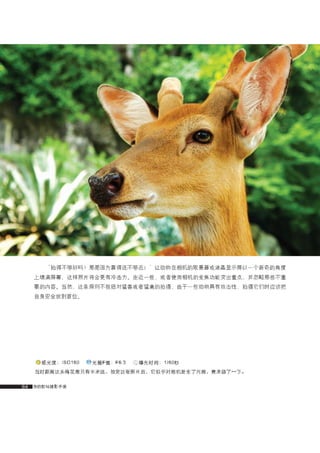 how to use camera(some basic knowledge and skills)