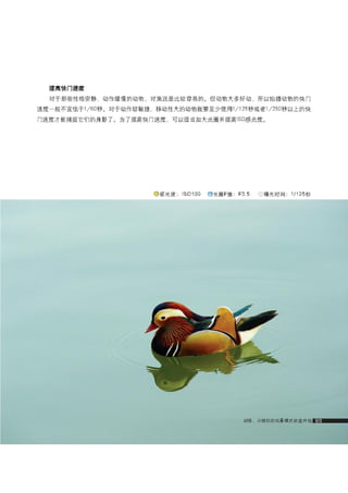 how to use camera(some basic knowledge and skills)