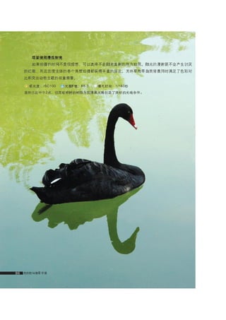 how to use camera(some basic knowledge and skills)