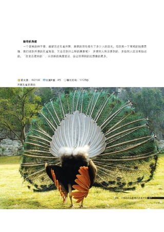 how to use camera(some basic knowledge and skills)