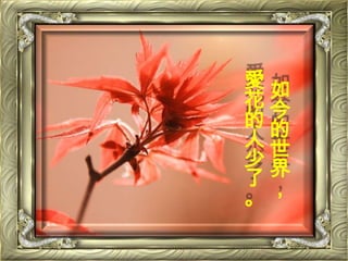 如今的世界，愛花的人少了。