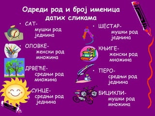 Одреди род и број именица датих сликамаСАТ-       		мушки род          једнинаОЛОВКЕ-           женски род            множинаДРВЕЋЕ- 		средњи род          множина    СУНЦЕ- 		средњи род           једнинаШЕСТАР- 		  мушки род            једнинаКЊИГЕ-           женски род           множинаПЕРО-  		средњи род		једнинаБИЦИКЛИ- 		мушки род 		множина