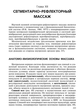 Глава XII
    СЕГМЕНТАРНО-РЕФЛЕКТОРНЫЙ
             МАССАЖ

   Научной основой сегментарно-рефлекторного массажа является
представление о позвоночнике как о функциональной биологичес-
кой системе (П.К. Анохин, 1968, 1971) с иннервирующими струк-
турами центрально-периферической организации и системой кро-
вообращения, реализующей свои многообразные функции благодаря
двусторонним рефлекторным вертебромоторным, вертебровазаль-
ным, вертебровертебральным и другим связям.
   Механическое воздействие (различными приемами или фи-
зическими факторами) на покровы тела, имеющие рефлекторную
связь (через нервную систему) с различными внутренними органа-
ми и функциональными системами, позволяет получить адекват-
ную реакцию со стороны внутренних органов (рис. 67).



АНАТОМО-ФИЗИОЛОГИЧЕСКИЕ ОСНОВЫ МАССАЖА

   Центральная нервная система функционирует как единый и сла-
женный механизм. Благодаря этому достигается то, что реакции
организма в ответ на различные раздражения в обычных физиоло-
гических условиях имеют характер целостных интегрированных
актов поведения. В каждом таком акте можно выделить три компо-
нента: сенсорный (чувствительный), обеспечиваемый поступлением
импульсов от рецепторов в центральную нервную систему, мотор-
ный (двигательный), осуществляемый скелетной мускулатурой и
регулируемый импульсами мотонейронов, и вегетативный, состоя-
щий в регуляции деятельности внутренних органов, просвета сосу-
дов, обмена веществ и функционального состояния тканей тела.
   Спинной мозг (рис. 68) участвует в осуществлении всех сложных
двигательных реакций организма. Он получает импульсы от экстеро-
рецепторов кожной поверхности, проприорецепторов и висцероре-
цепторов туловища и конечностей (за исключением тех висцероре-
цептивных импульсов, которые приходят в ЦНС по блуждающим
нервам). Спинной мозг иннервирует всю скелетную мускулатуру, кроме
мышц головы, иннервируемых черепно-мозговыми нервами (рис. 69).
                                                               223
 
