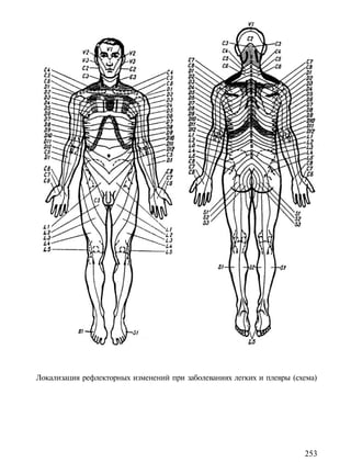 Локализация рефлекторных изменений при заболеваниях легких и плевры (схема)




                                                                       253
 