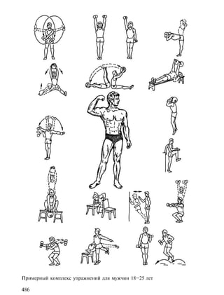 Примерный комплекс упражнений для мужчин 18–25 лет

486
 