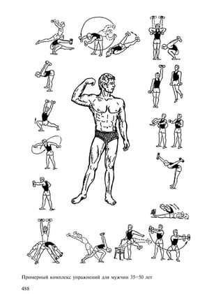Примерный комплекс упражнений для мужчин 35–50 лет

488
 