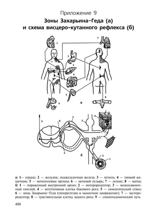 Приложение 9
             Зоны Захарьина–Геда (а)
      и схема висцеро-кутанного рефлекса (б)




а: 1— сердце; 2 — желудок; поджелудочная железа; 3 — печень; 4 — тонкий ки-
шечник; 5 — мочеполовые органы; 6 — мочевой пузырь; 7 — легкие; 8 — матка;
б: 1 — пораженный внутренний орган; 2 — интерорецептор; 3 — межпозвоноч-
ный ганглий; 4 — вегетативная клетка бокового рога; 5 — симпатический ствол;
6 — зоны Захарьина–Геда (гиперестезия и мышечное напряжение); 7 — экстеро-
рецептор; 8 — чувствительная клетка заднего рога; 9 — спиноталамический путь

490
 
