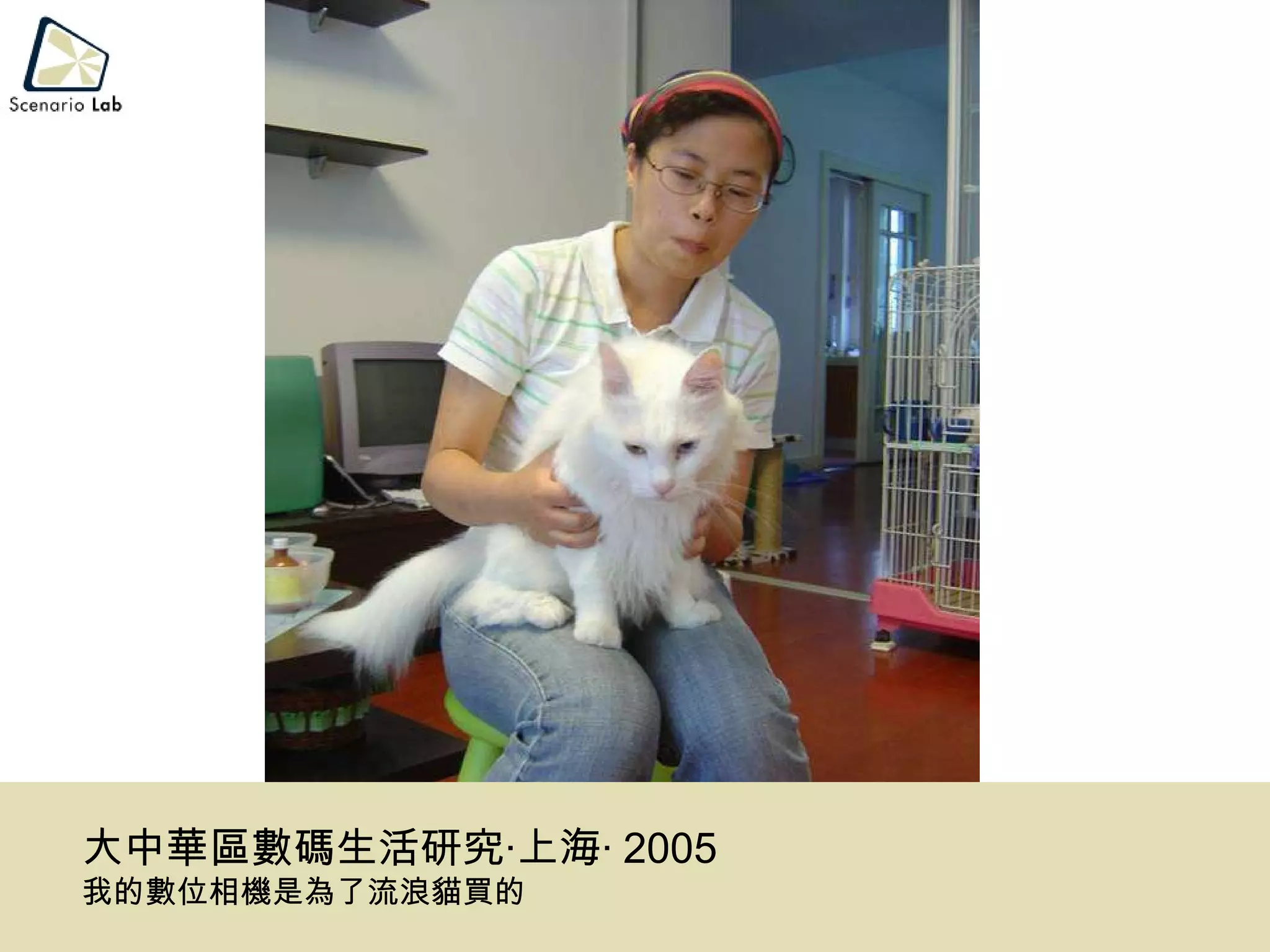 大中華區數碼生活研究‧上海‧ 2005 我的數位相機是為了流浪貓買的 