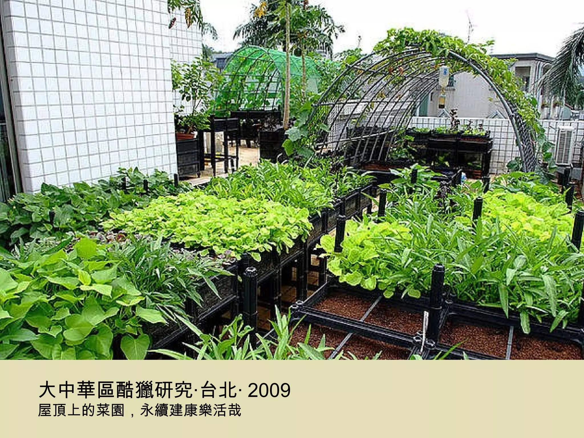 大中華區酷獵研究‧台北‧ 2009 屋頂上的菜園，永續建康樂活哉 