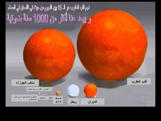 الشمس  ..  أقل من واحد بكسل المشترى أصبح غير مرئي على هذا المقياس نجم قلب العقرب هو الـ 15 بين النجوم من حيث في اللمعان في السماء و يبعد عنا أكثر من 1000 سنة ضوئية قلب العقرب الدبران ريجل السماك الرامح بولكس سيريوس منكب الجوزاء 