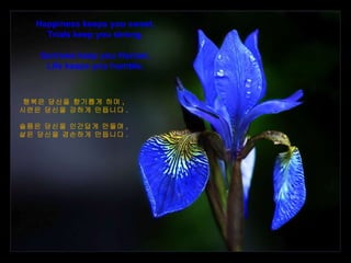 Happiness keeps you sweet, Trials keep you strong. Sorrows keep you Human, Life keeps you humble. 행복은 당신을 향기롭게 하며 , 시련은 당신을 강하게 만듭니다 . 슬픔은 당신을 인간답게 만들며 , 삶은 당신을 겸손하게 만듭니다 . 
