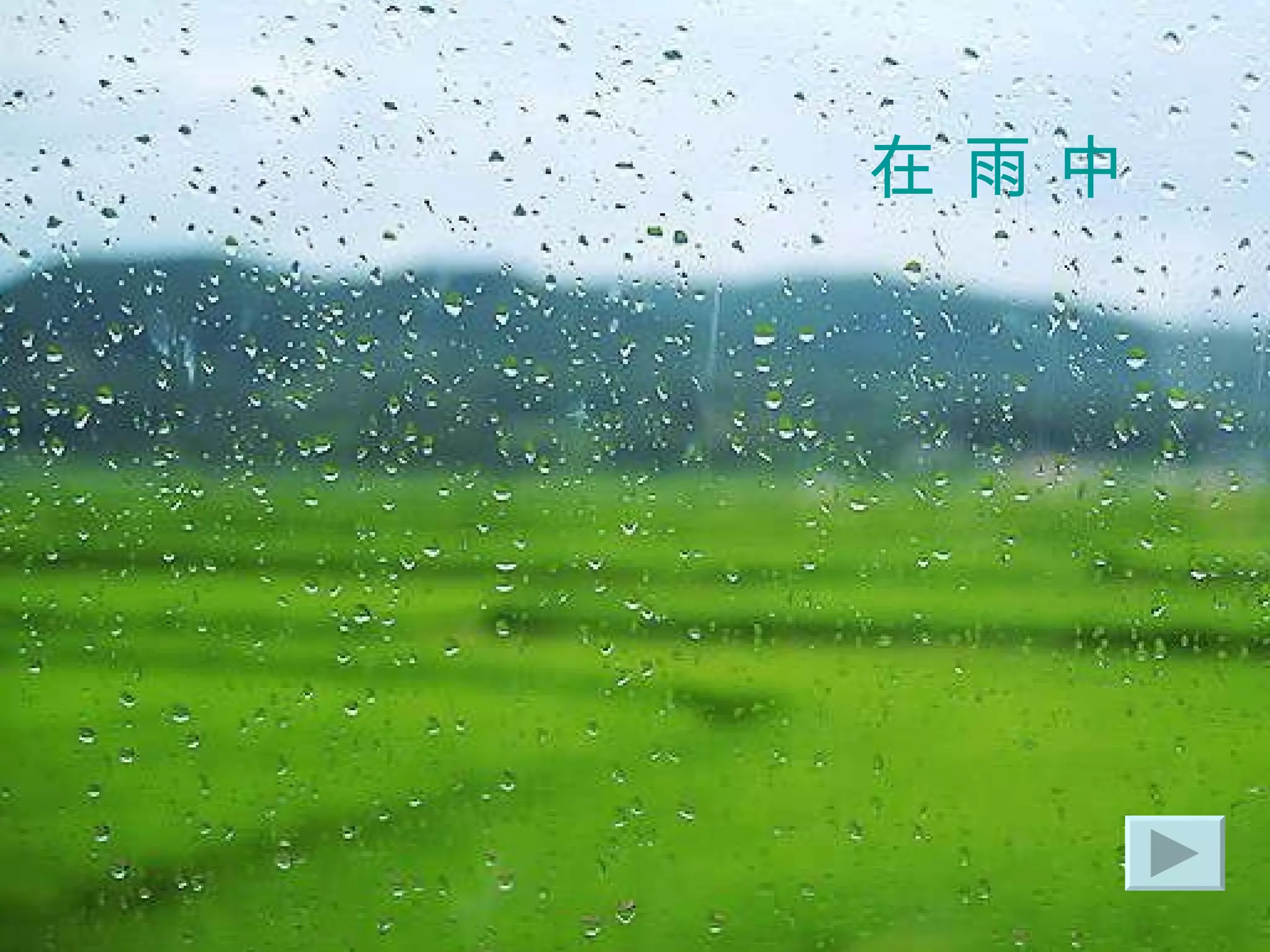 在 雨 中 