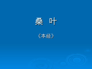 桑  叶 《本经》 