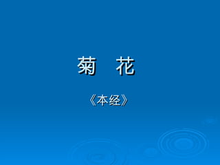 菊  花   《本经》   