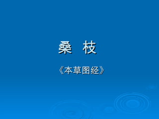 桑  枝 《本草图经》 