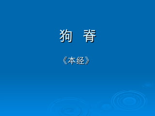 狗  脊 《本经》  