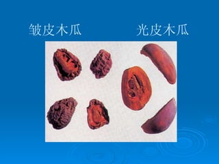 皱皮木瓜  光皮木瓜 