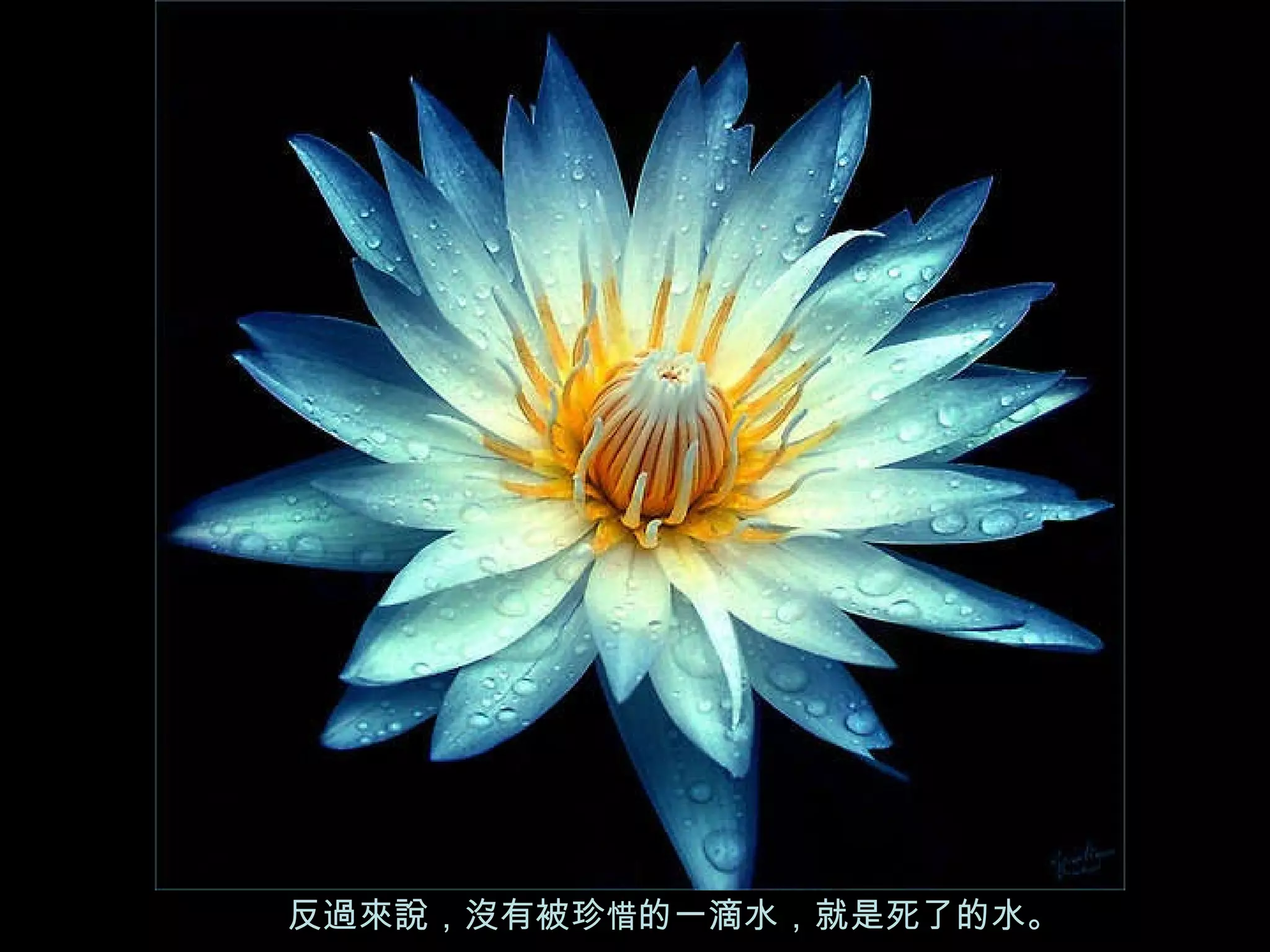 反過來說，沒有被珍 惜 的一滴水，就是死了的水。   