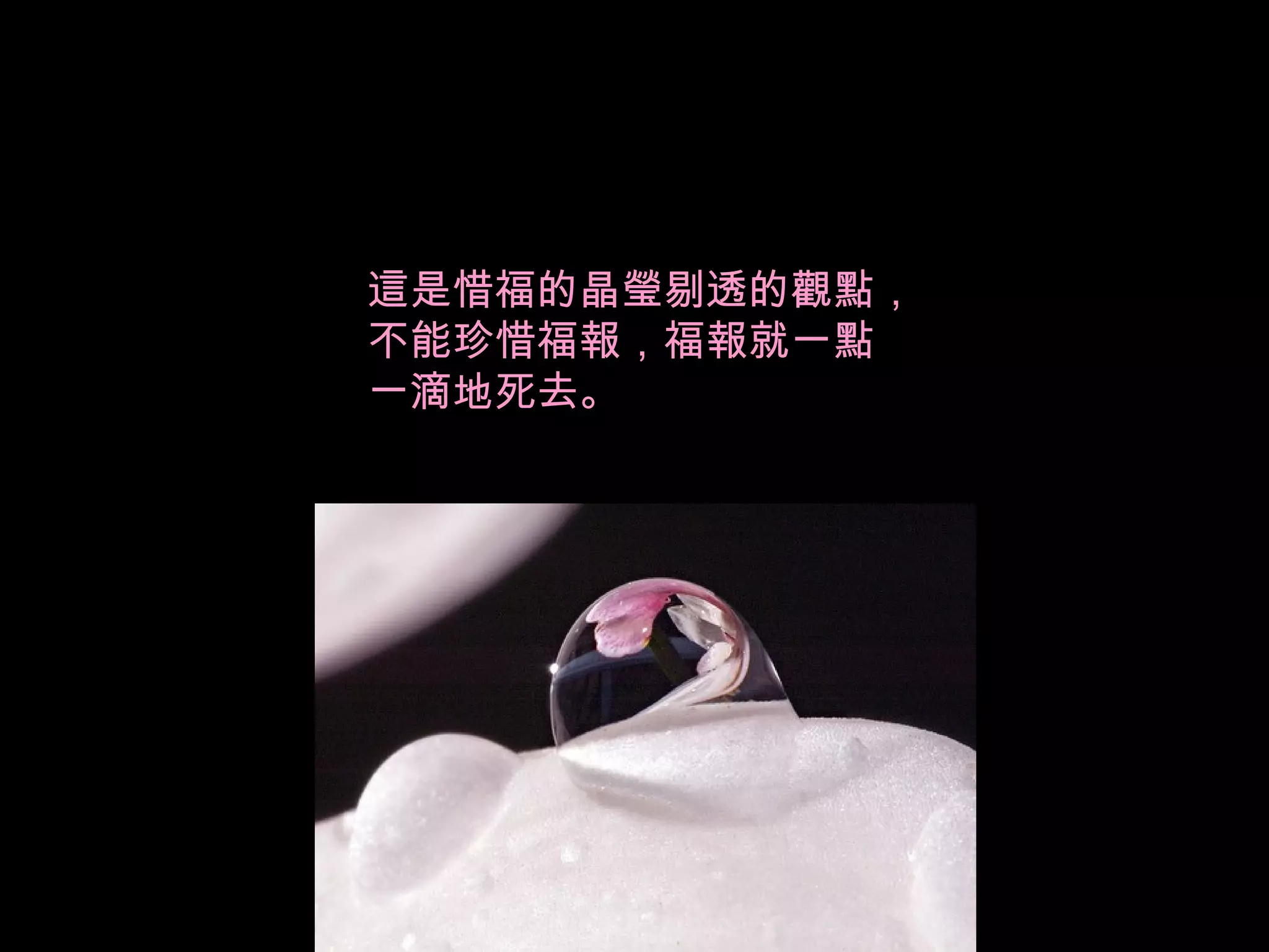 這是惜福的晶瑩剔透的觀點， 不能珍惜福報，福報就一點 一滴地死去。  