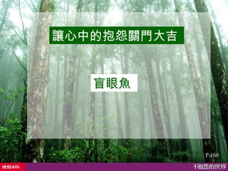 讓心中的抱怨關門大吉   P.160 盲眼魚  