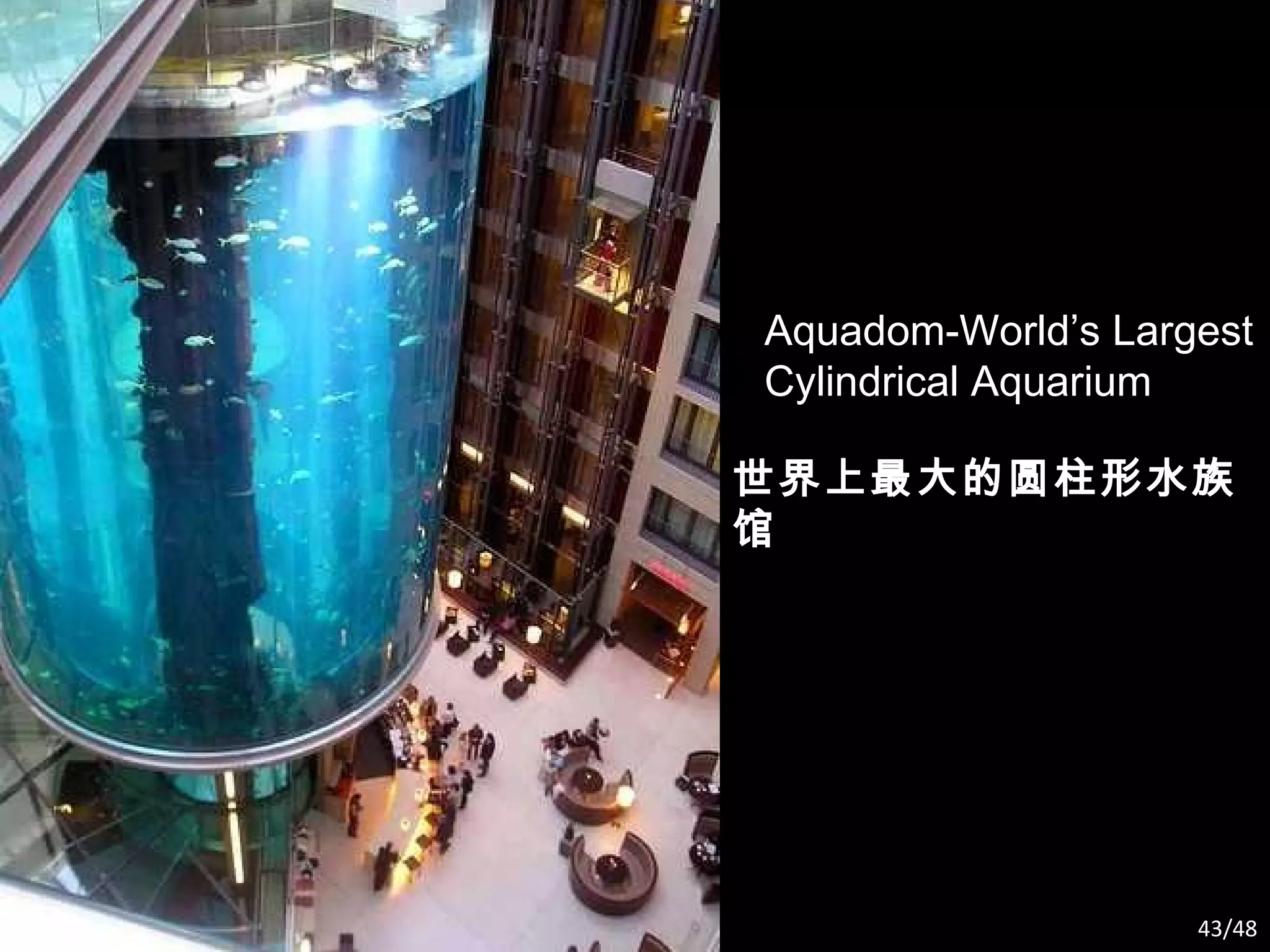 Aquadom-World’s Largest Cylindrical Aquarium 世界上最大的圆柱形水族馆 /48 