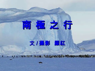 南 極 之 行 文 / 攝影  羅紅 