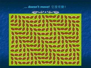 …  doesn‘t move!   它没有 動 ！   