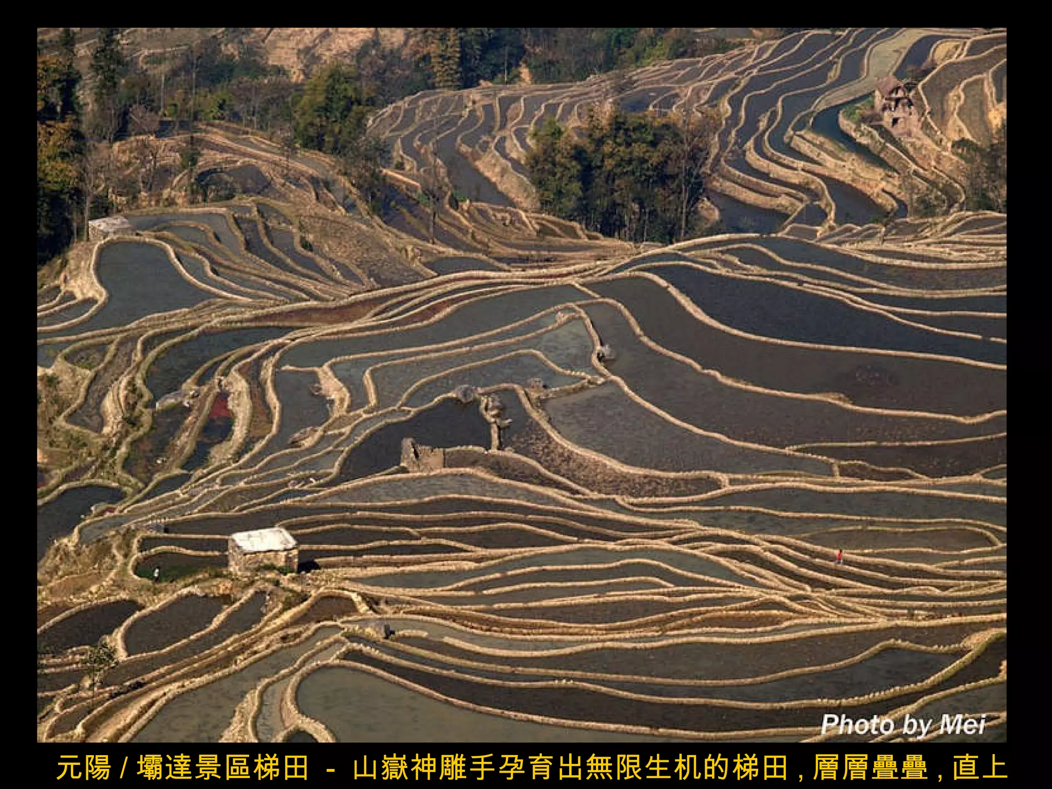 元陽 / 壩達景區梯田  -  山嶽神雕手孕育出無限生机的梯田 , 層層疊疊 , 直上雲霄 . 
