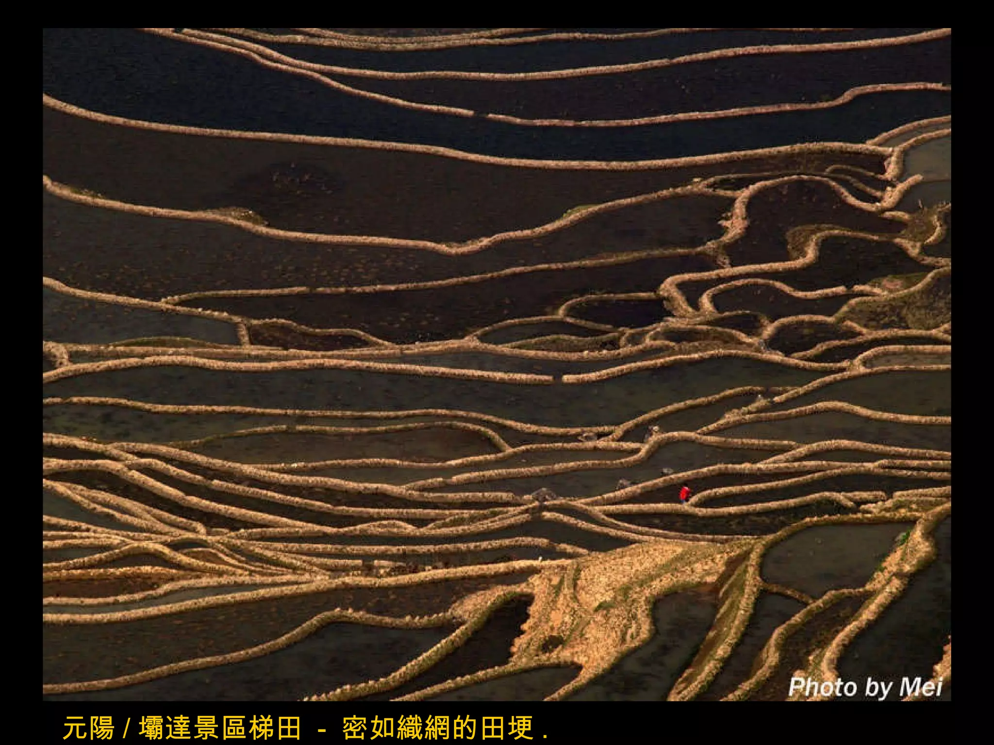 元陽 / 壩達景區梯田  -  密如織網的田埂 . 