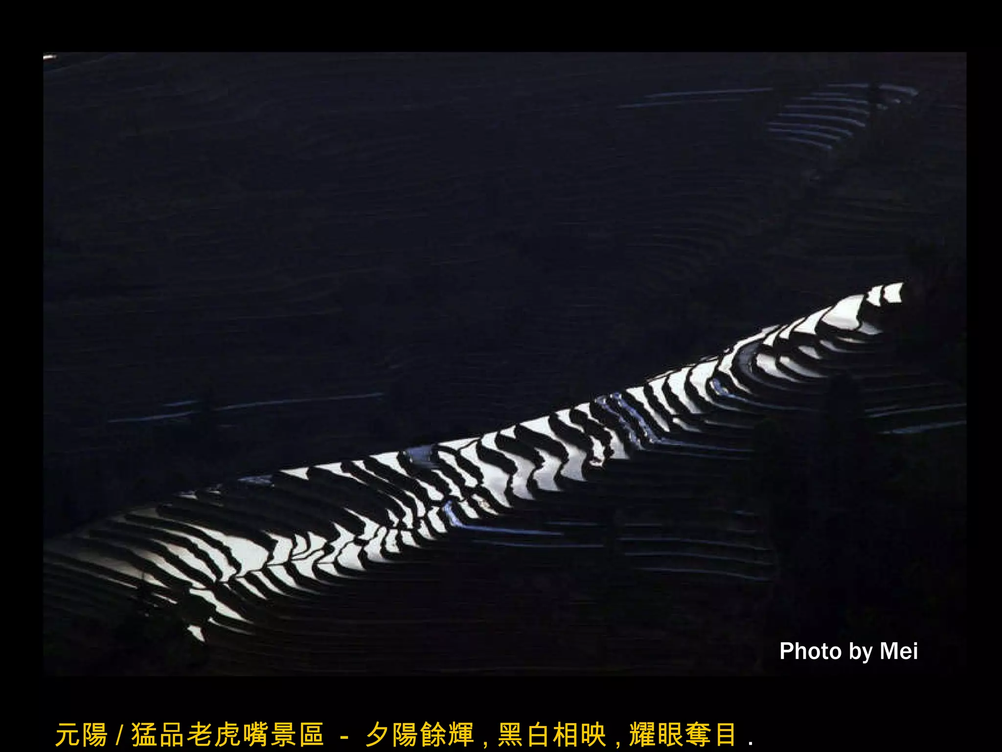 Photo by Mei 元陽 / 猛品老虎嘴景區  -  夕陽餘輝 , 黑白相映 , 耀眼奪目 . 