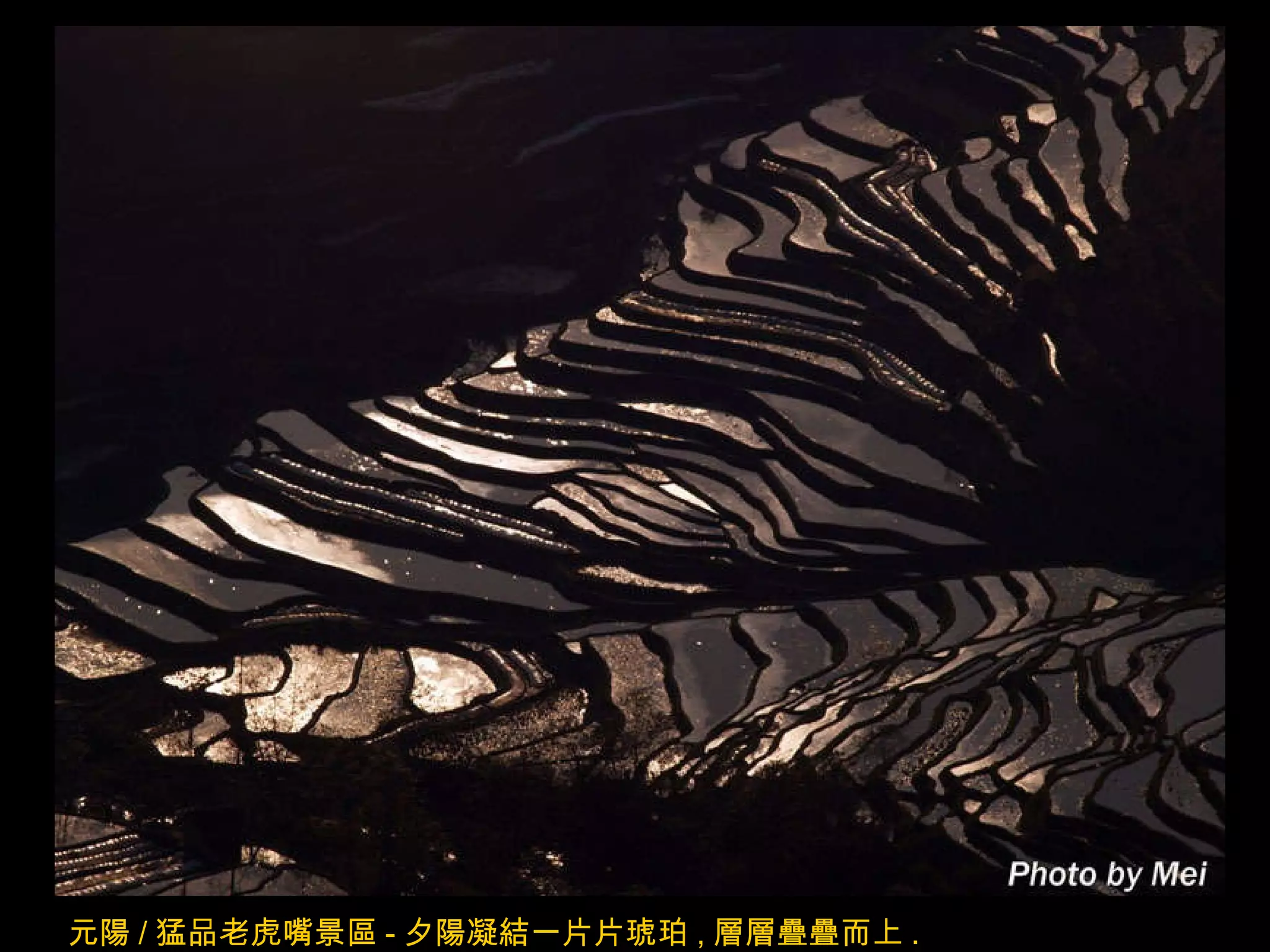 元陽 / 猛品老虎嘴景區 - 夕陽凝結一片片琥珀 , 層層疊疊而上 . 