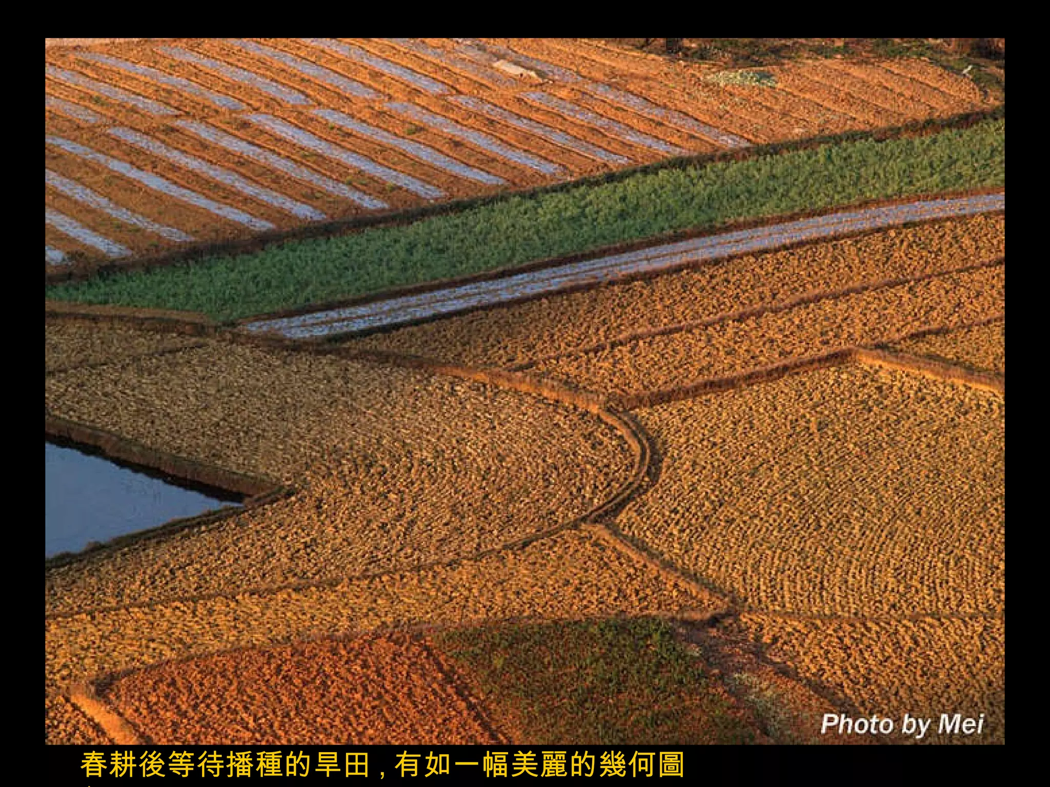 春耕後等待播種的旱田 , 有如一幅美麗的幾何圖形 , 