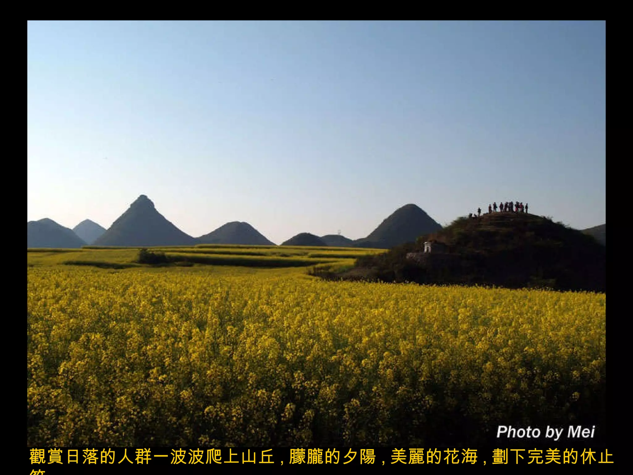 觀賞日落的人群一波波爬上山丘 , 朦朧的夕陽 , 美麗的花海 , 劃下完美的休止符 . 