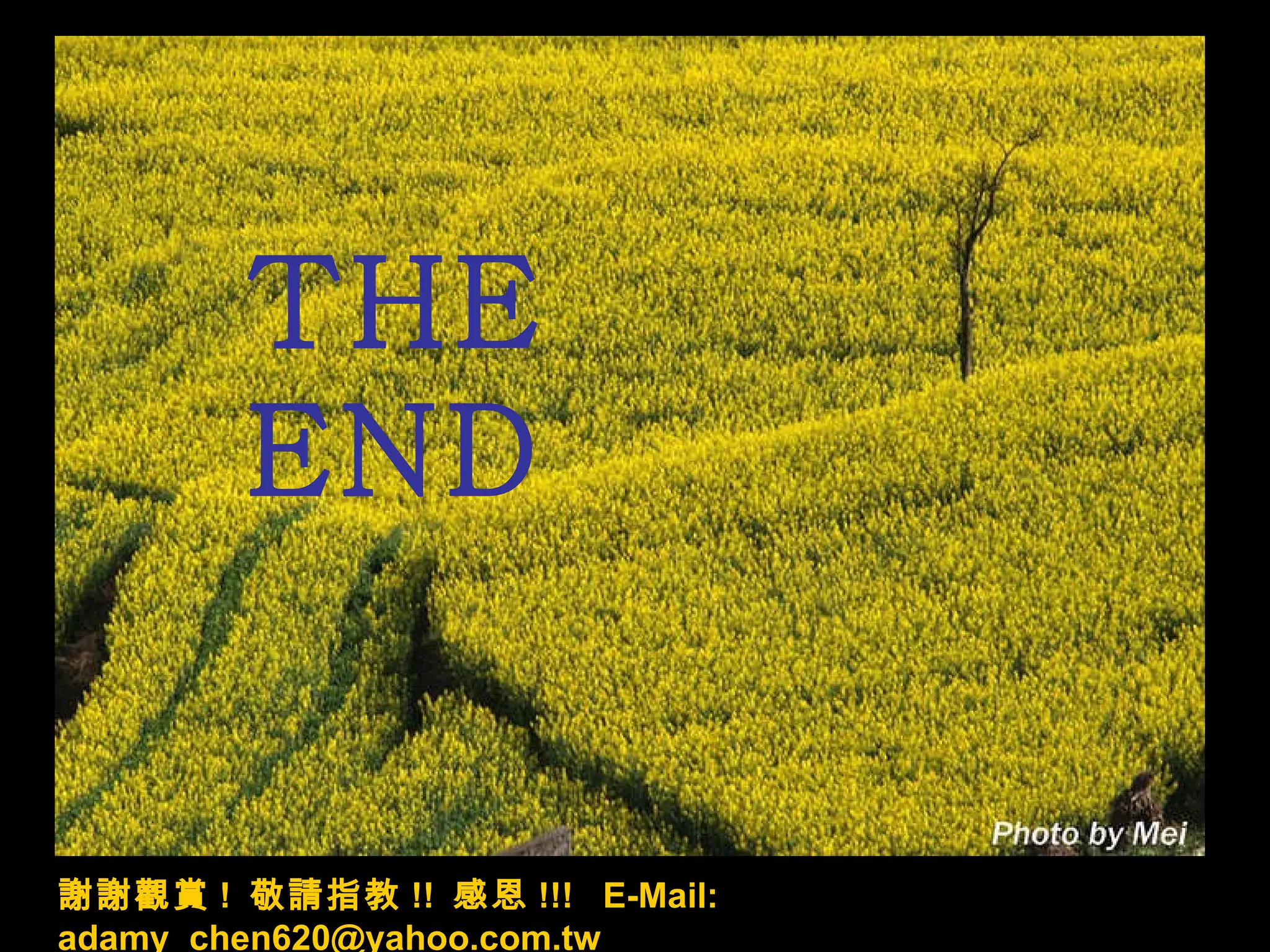 THE  END 謝謝觀賞 !  敬請指教 !!  感恩 !!!  E-Mail: adamy_chen620@yahoo.com.tw 