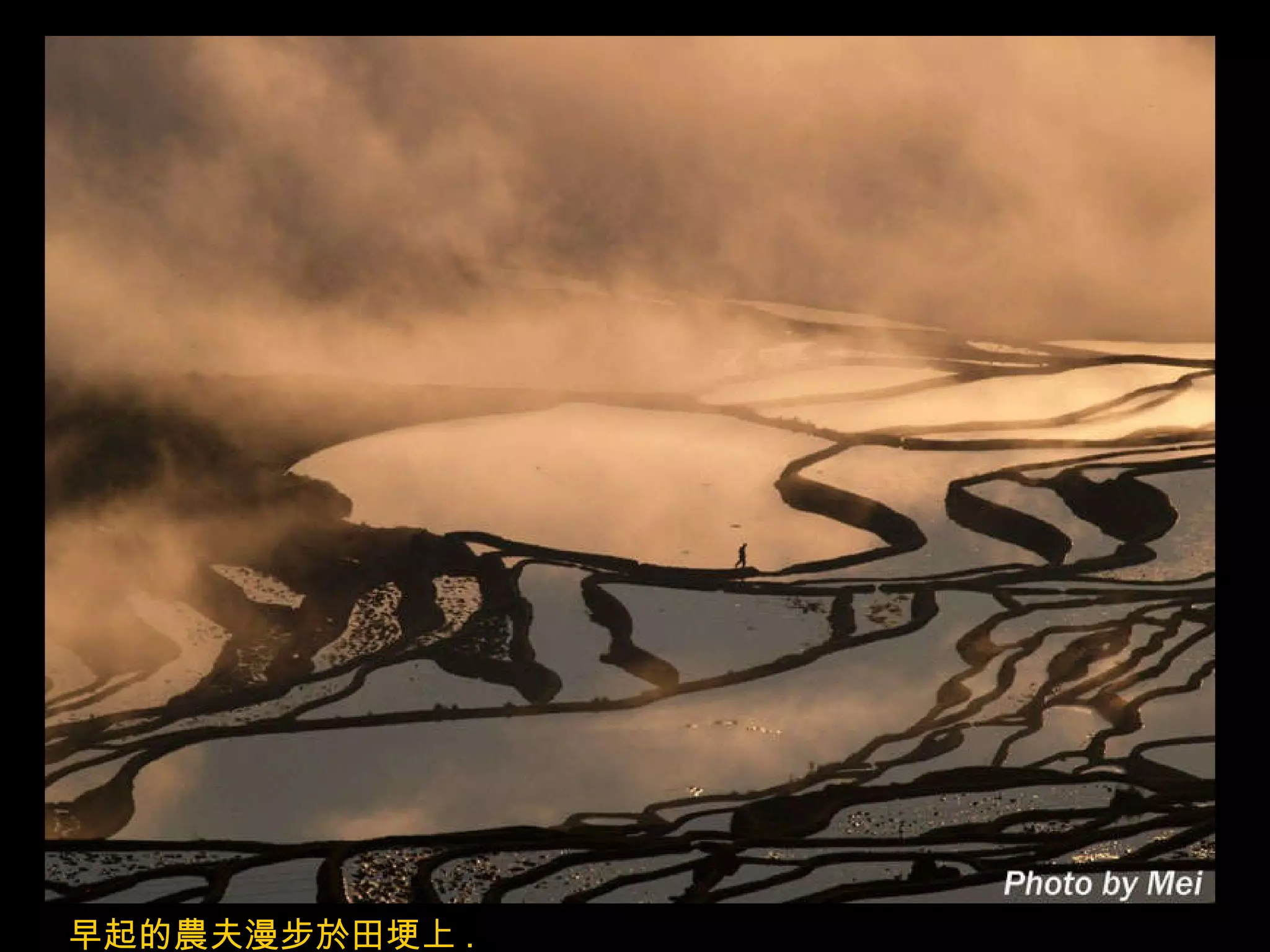 早起的農夫漫步於田埂上 . 