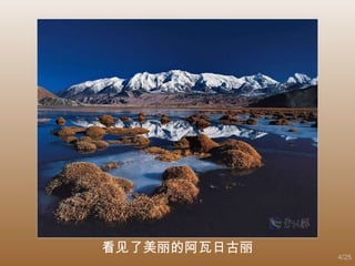 看见了美丽的阿瓦日古丽 