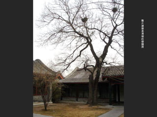 整片建築是清朝的御膳房 