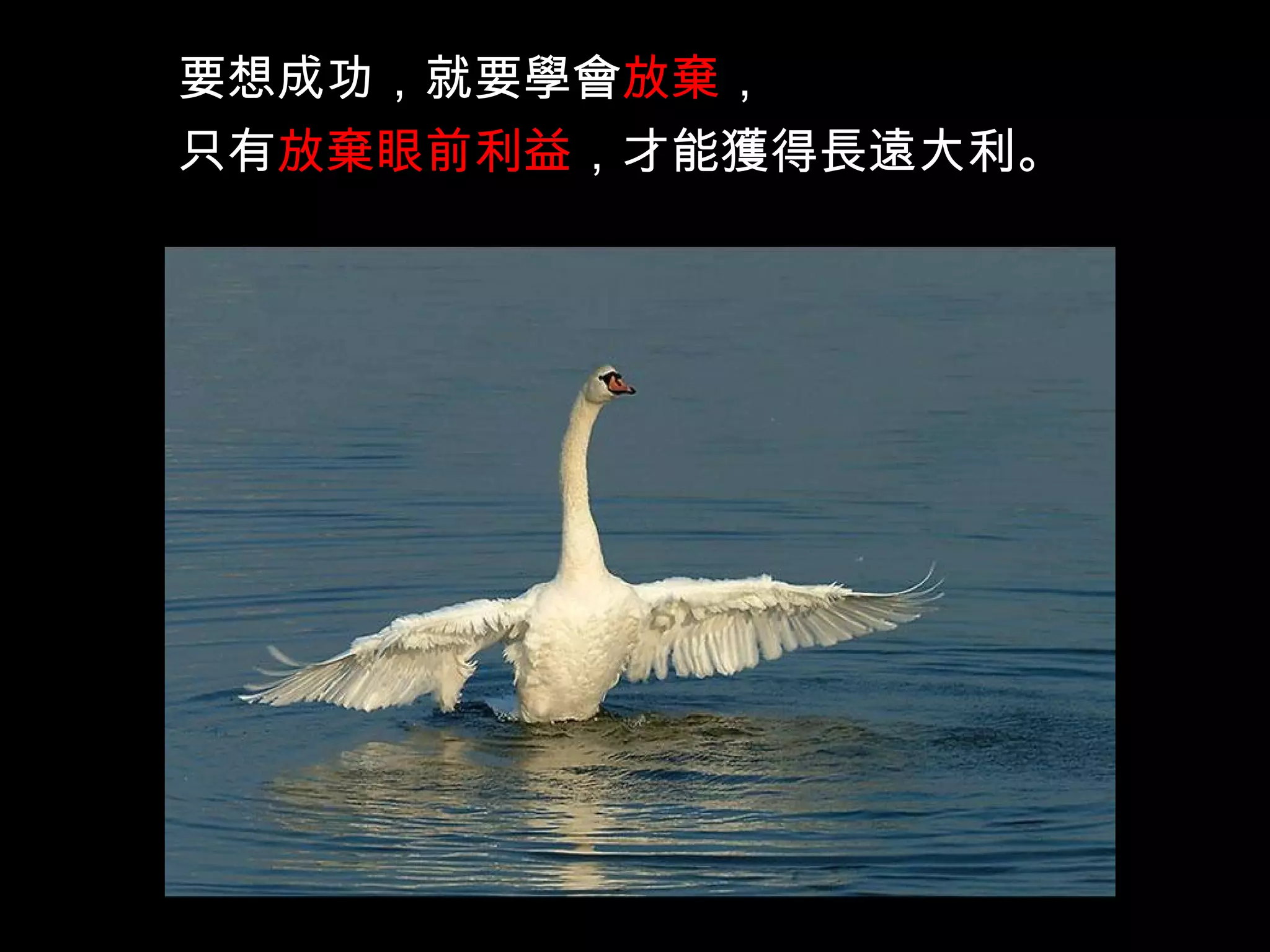 要想成功，就要學會 放棄 ， 只有 放棄眼前利益 ，才能獲得長遠大利。   