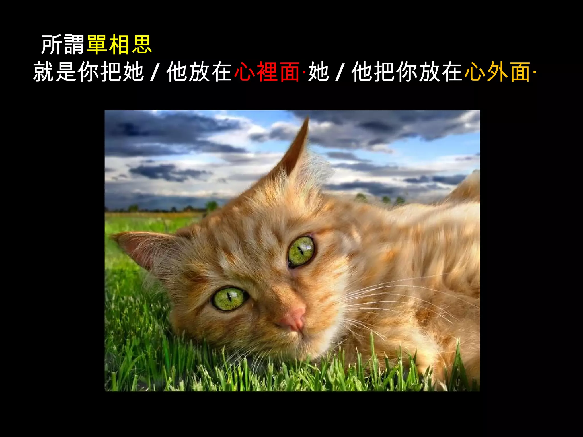 所謂 單相思 就是你把她 / 他放在 心裡面‧ 她 / 他把你放在 心外面‧ 