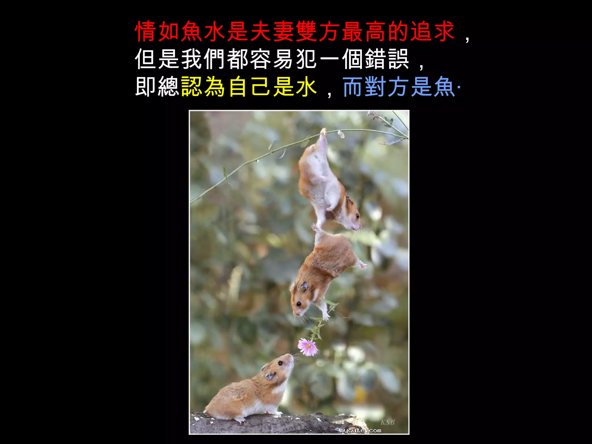 情如魚水是夫妻雙方最高的追求 ， 但是我們都容易犯一個錯誤， 即總 認為自己是水 ， 而對方是魚‧ 