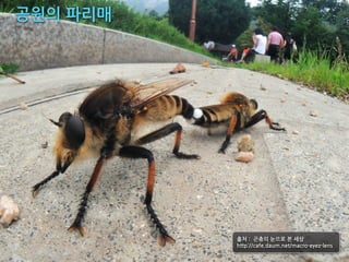 xéî#ypl




          #qr#v##pTî#sÒd#ÿ#.7#
          #t,,uv11*+e‹9v+'&9(‹,1&+*⁄%5‹Ê‹w5€‹(-
 