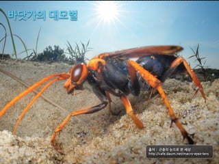 œztî#6∞{




           #qr#v##pTî#sÒd#ÿ#.7#
           #t,,uv11*+e‹9v+'&9(‹,1&+*⁄%5‹Ê‹w5€‹(-
 