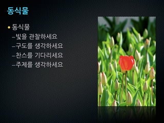 Éan

•
    –
    –
    –
    –
 